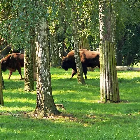 Ferienglueck Sunny * וארן